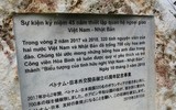 Anh đào Nhật Bản nở hoa, rực rỡ khoe sắc tại Hà Nội